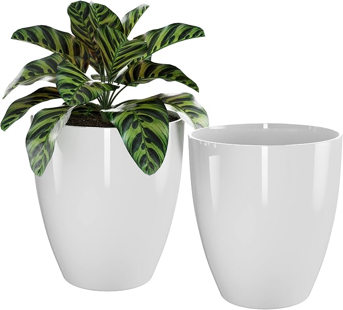 QCQHDU 10 inch Plant Pot with Drainage Hole, 2 Pack Sturdy Pots by QCQHDU