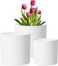 8/7/6 inch Plant Pots, Decorative Plastic Planters by Meowell