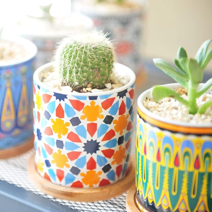 6 Pack Mandala Succulent Plant Pot - Image 5