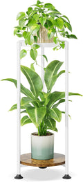 iDavosic.ly 2 Tier Corner Plant Stand Indoor, 30 Inch Tall Vertical Metal by iDavosicly