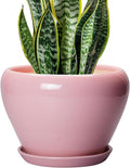 Ceramic Modern Glaze Succulent Planter Pot by Ceramicfor