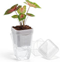 2.5 Inch Mini Self Watering Pots by QCQHDU