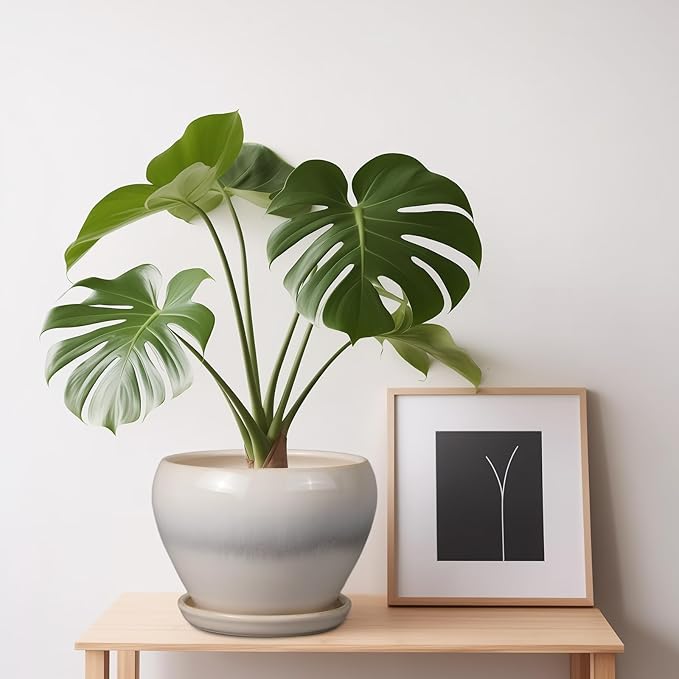 Planter Pot 6 Inch - Image 7