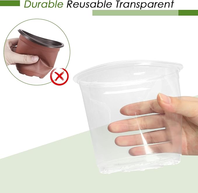 5 Inch Clear Nursery Pots for Plants - Image 5