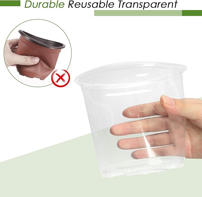 4 Inch Clear Nursery Pots for Plants - Image 5