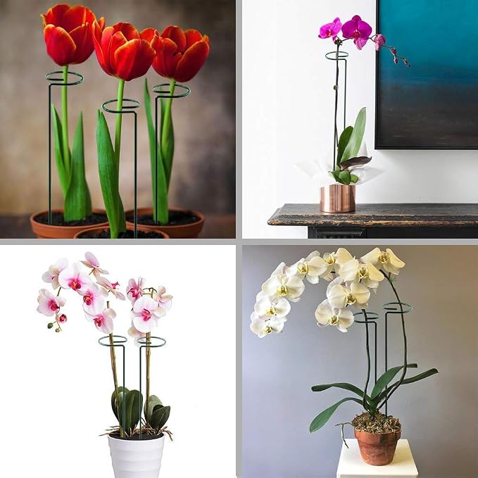 HiGift 17 inch Plant Support Stakes, 4mm Thick Garden Single Stem Flower - Image 8