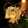 Starryfill Garden Solar Lights Outdoor Heart-Shaped by Starryfill