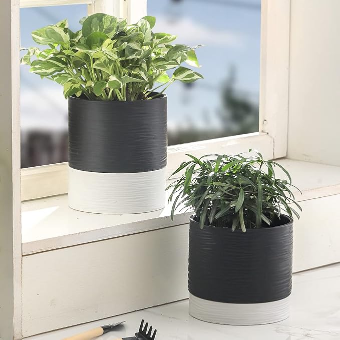 Nihow Ceramic Plant Pot: 6 Inch Planter - Image 5