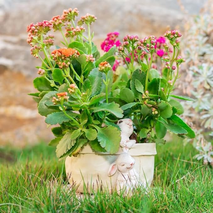 Rabbit Flower Pot Succulent Planter Garden Pots, Decorative Flower Pot - Image 2
