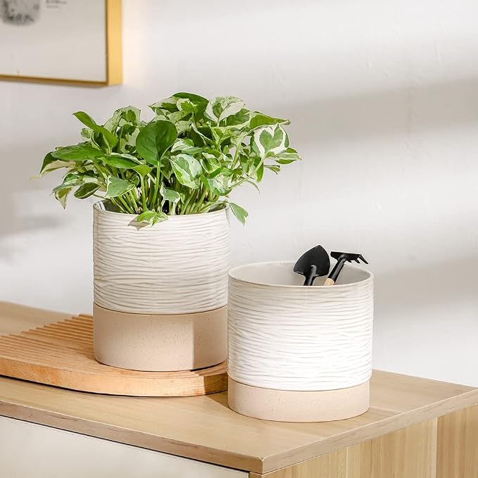 Nihow Ceramic Plant Pot: 6 Inch Planter - Image 4