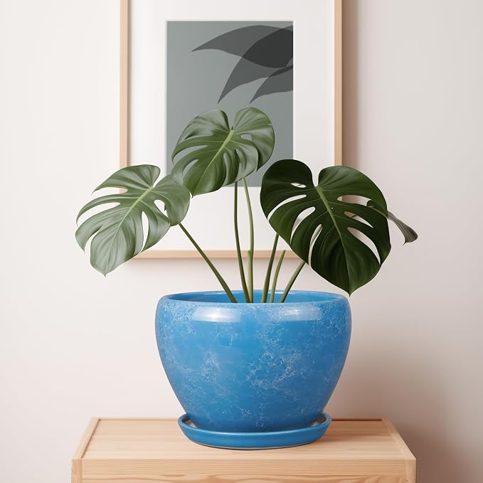 10 Inch Planter Pot - Image 6