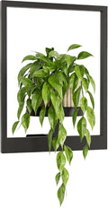 Bamworld Plant Stand Indoor Wall Decor Metal Plant Hanger Indoor Hanging Plant by Bamworld