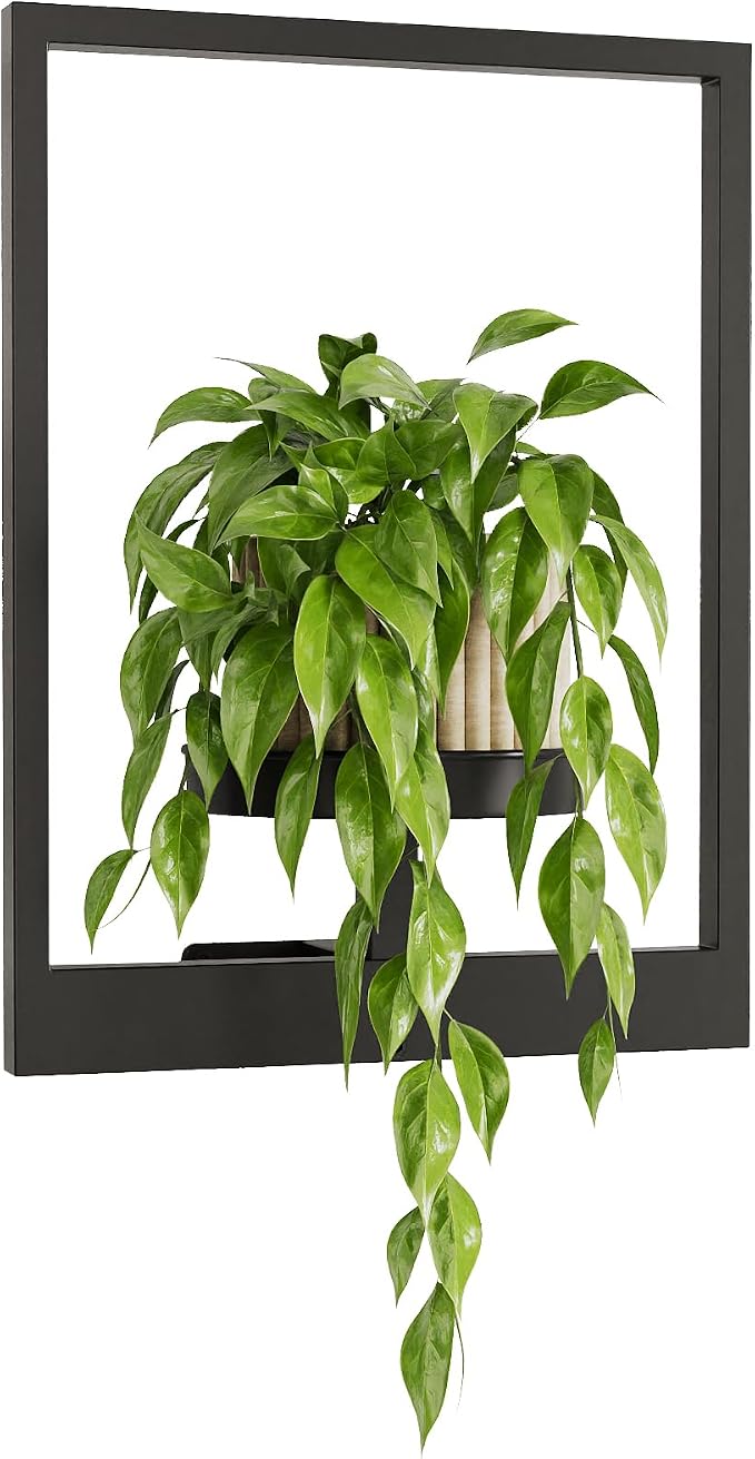 Wall Plant Holder Wall Planters - Image 8
