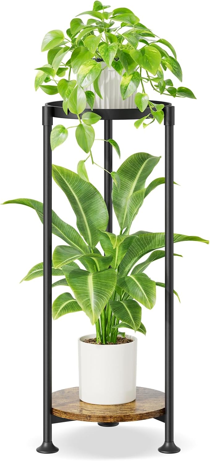 iDavosic.ly 2 Tier Corner Plant Stand Indoor, 30 Inch Tall Vertical Metal by iDavosicly