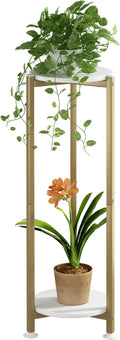 Plant Stand Indoor Corner Tall 2 Tier Metal Modern Flower Storage Plant Shelf by YIZAIJIA