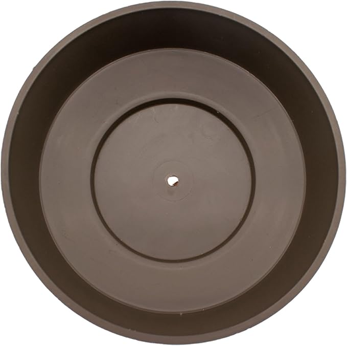 The HC Companies 6 Inch Round Plastic Succulent Capri Bowl Decorative Indoor - Image 2