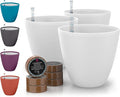GARDENIX DECOR Self Watering Pots by Unknown