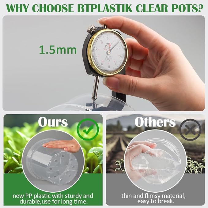 12 Pack 7 Inch Clear Nursery Pots - Image 4