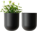 LA JOLIE MUSE Wall Hanging Planters by LaJol%C3%ADeMuse