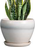 Ceramic Planter by Ceramicfor