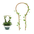 3Pack Bamboo Trellis 16 Inch Round Shaped Small Plant Trellis by Coloringyourleisuretime