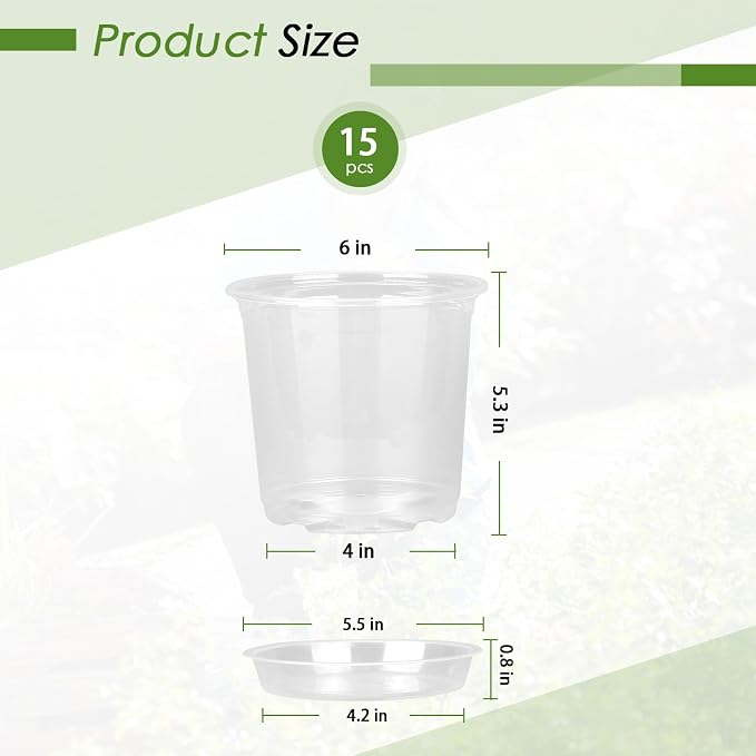 6 Inch Clear Nursery Pots for Plants - Image 2