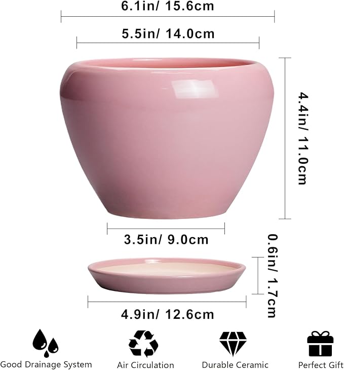 6 Inch Plant Pot - Image 3