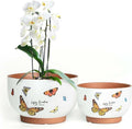 YBX 8 Inch + 6 Inch Terracotta Plant Pots, Flower Pots by YBXYIBOXUAN