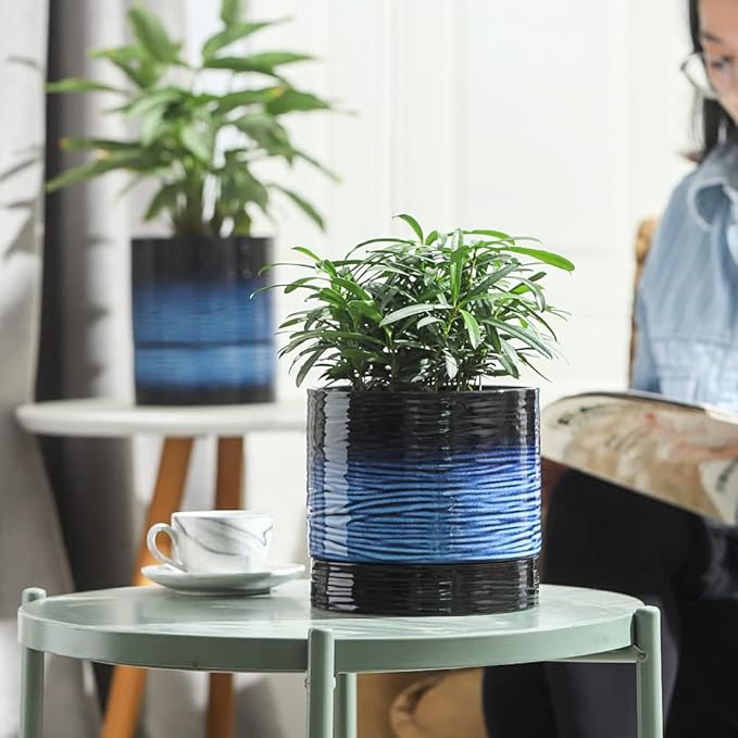 Nihow Self Watering Plant Pot: 6 Inch Ceramic Planter - Image 8