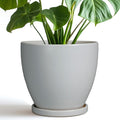 Ceramic Pots for Plants by EPFamily