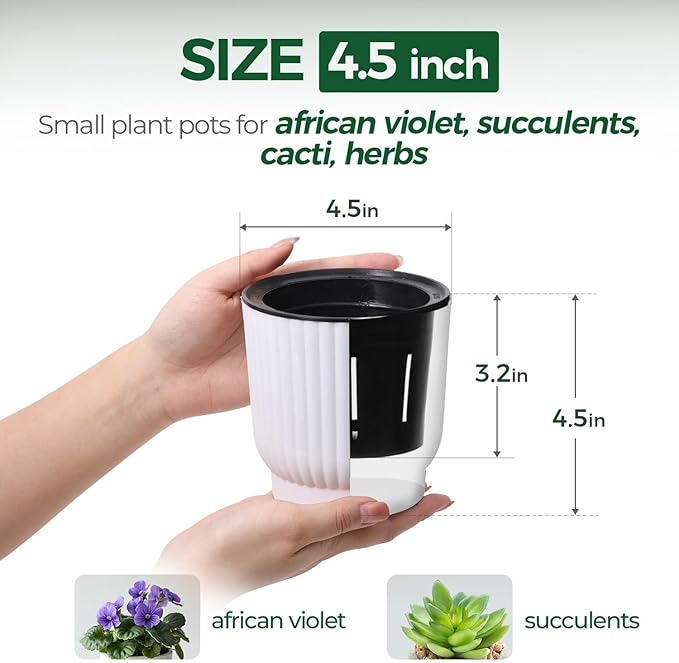 T4U 4.5 Inch Plant Pots Self Watering, 6 Pack African Violet Pots, Small Plant - Image 2
