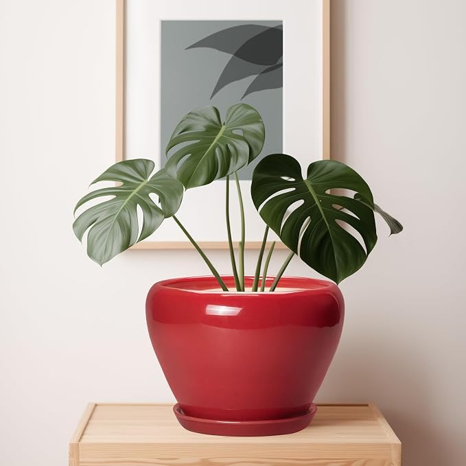 10 Inch Plant Pot - Image 7