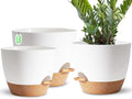Plant Pots, 12+10+9 Inch Self Watering Pots by SESUN-E
