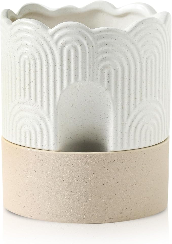 Nihow Self Watering Plant Pot: 6 Inch Ceramic Planter by Nihow