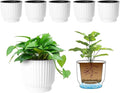 T4U 4.5 Inch Plant Pots Self Watering, 6 Pack African Violet Pots, Small Plant by T4U