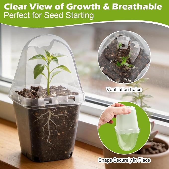 2.7 Inch Square Nursery Pots - Image 3