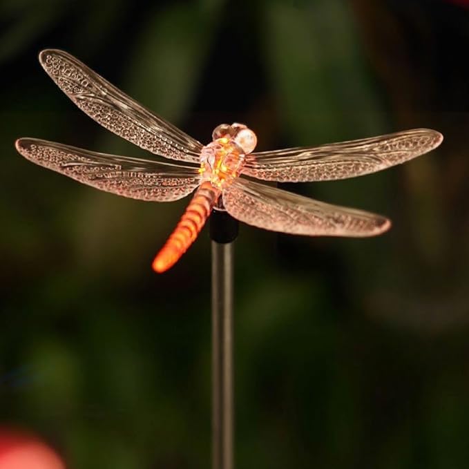 Outdoor Solar Garden Stake Light by QIDEA