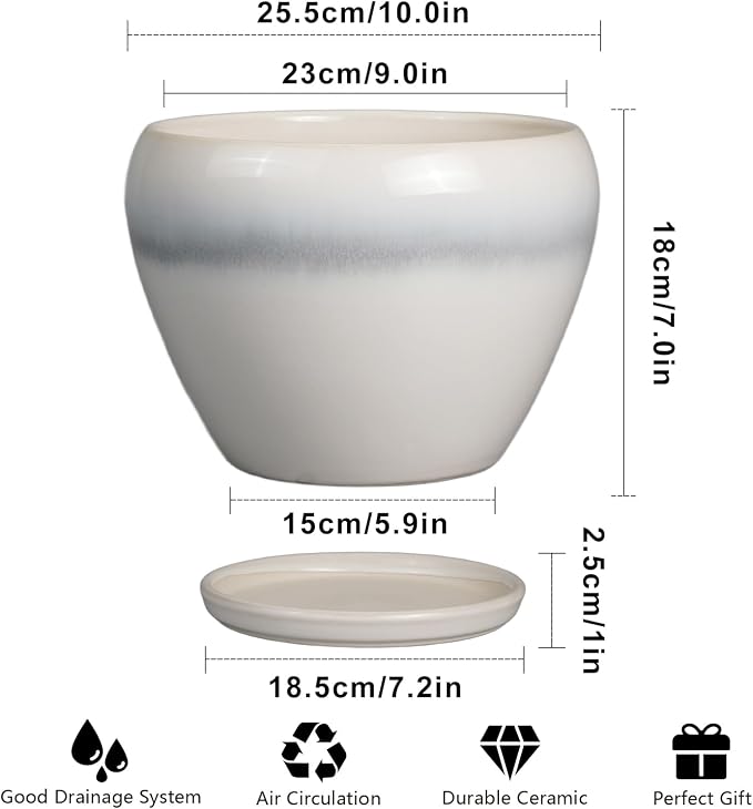 10 Inch Ceramic Planter Pot - Image 3