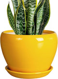 8 Inch Plant Pot by Ceramicfor