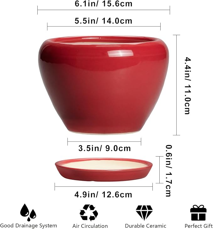 6 Inch Plant Pot - Image 3