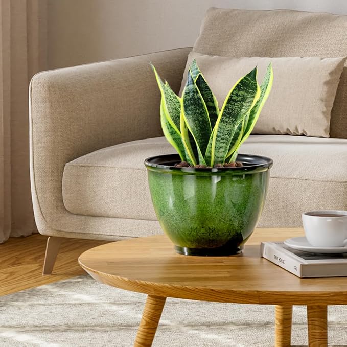 8 Inch Plastic Plant Pots, Glossy Smooth Finish Planter - Image 6