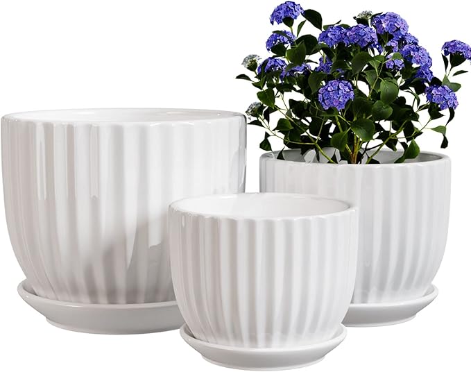 Ton Sin White Plant Pots Set of 3, Indoor Ceramic Flower Pot by TonSin