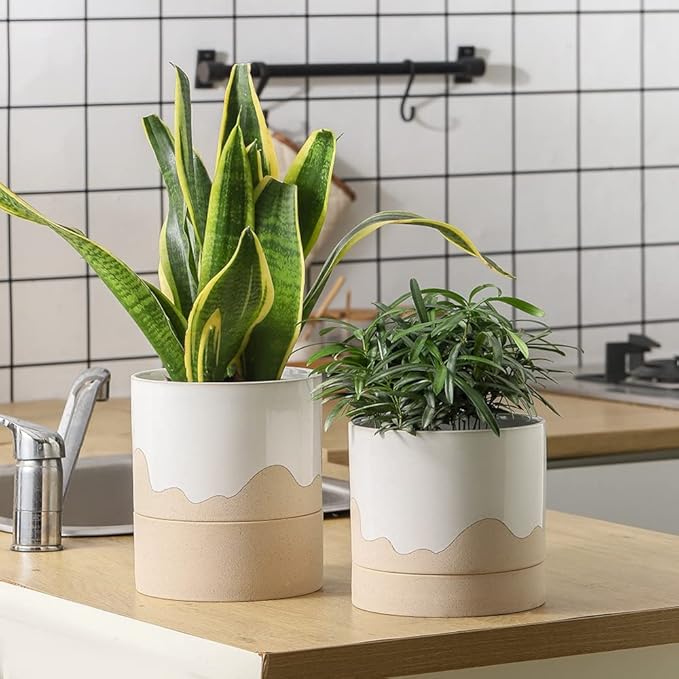 Nihow Ceramic Plant Pot: 6 Inch Planter - Image 6