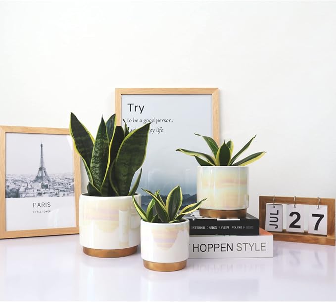 Gepege White Indoor Pots for Plants, Ceramic Planter - Image 4
