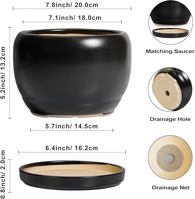 SQOWL Ceramic Plant Pots - Image 3