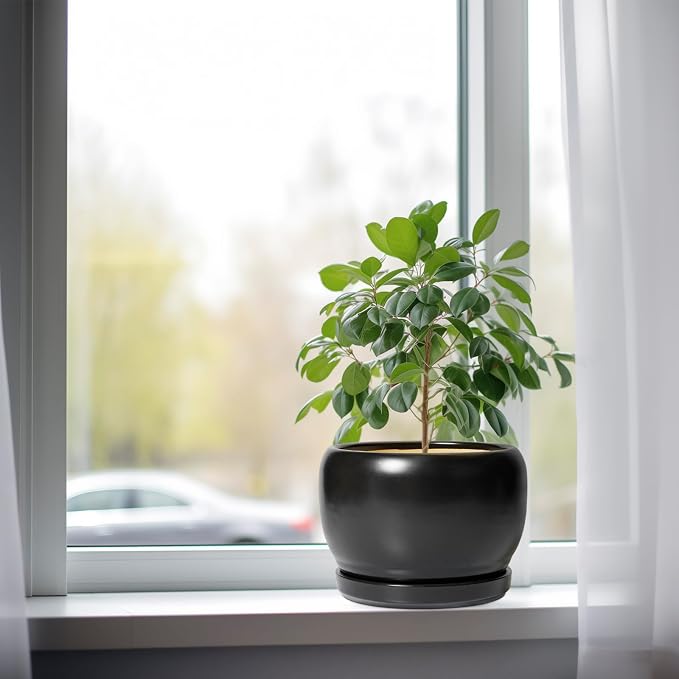 SQOWL Ceramic Plant Pots - Image 4