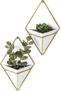 Umbra Trigg Hanging Planter Vase Wall Decor, Faux Plants, and More by Umbra