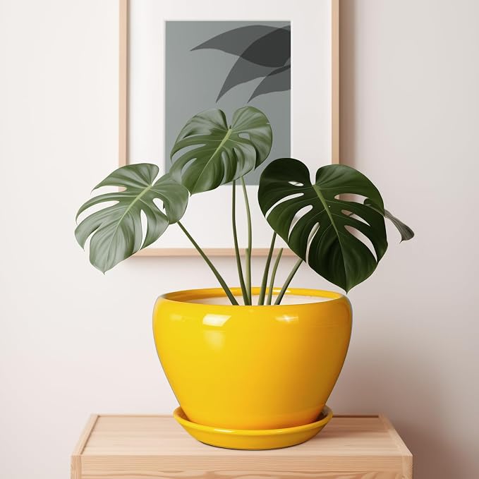 Ceramic Planter - Image 7