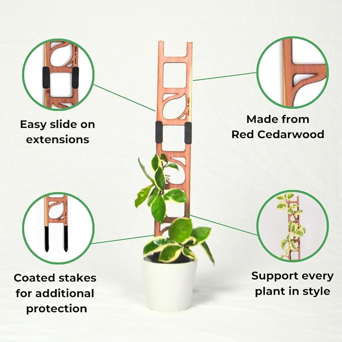 Treleaf Stella Extendable Ladder Trellis - Image 2