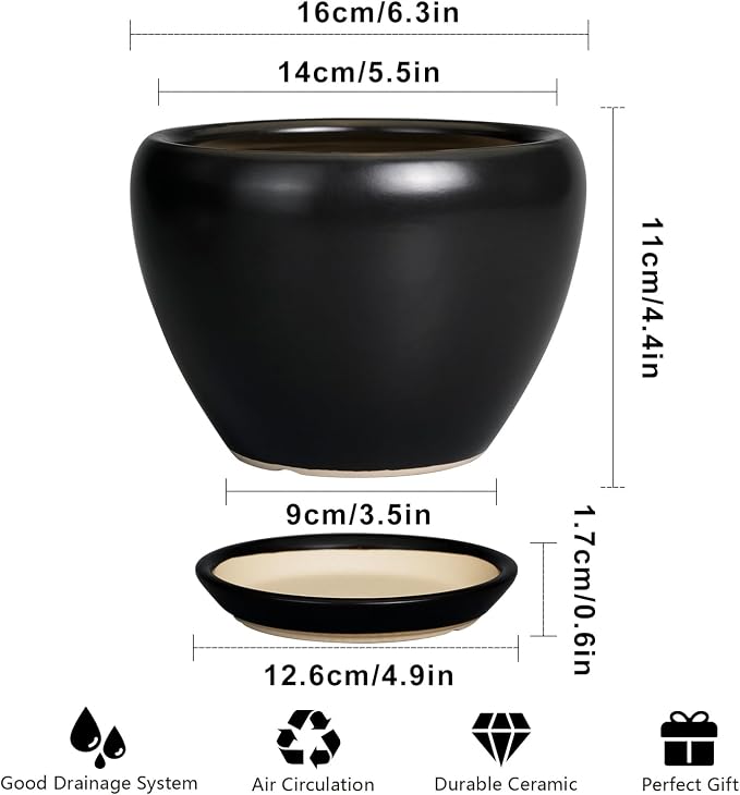 Ceramic Planter Pot - Image 3